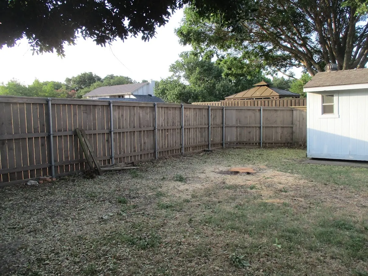 Cleared yard after professional tree removal in Drummond Island